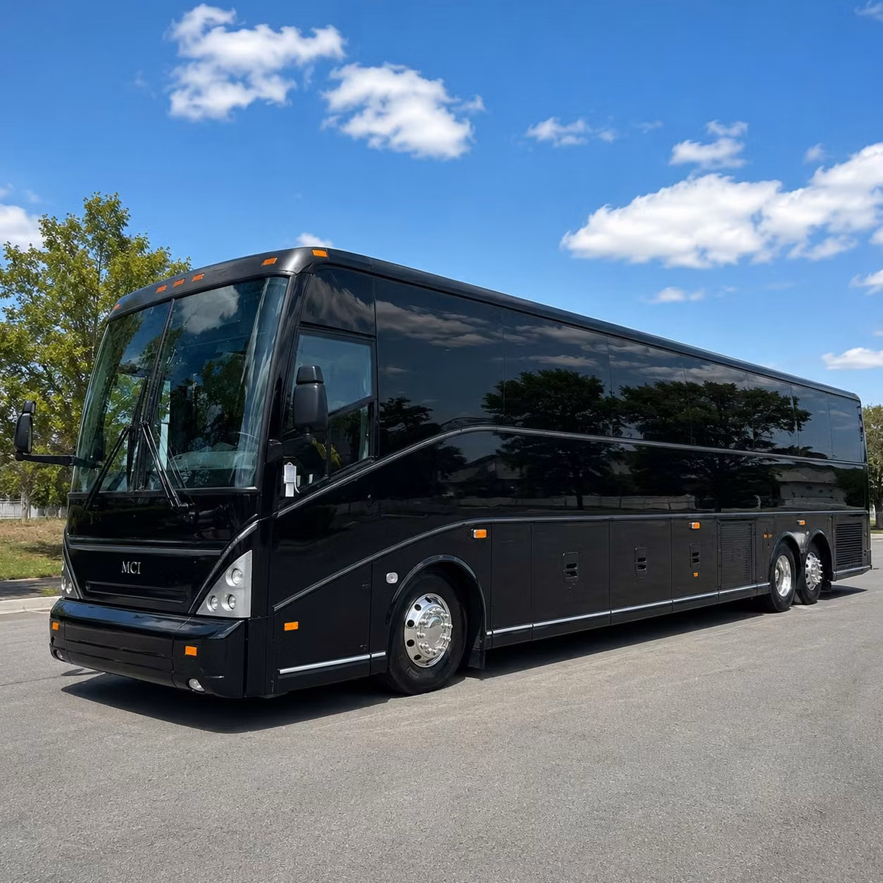 charter bus rentals for chula vista trips to the zoo and aquarium