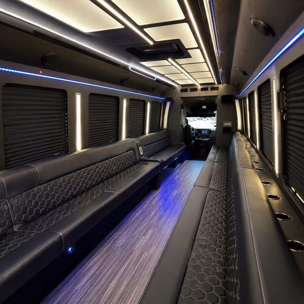 chula vista party bus rental